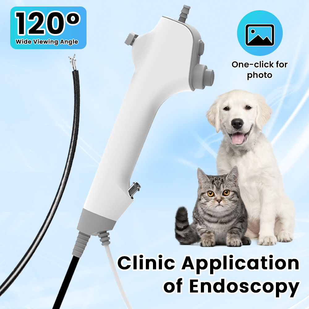Useful Tech Accessories - Disposable ENT Veterinary Endoscope Camera Multi-function